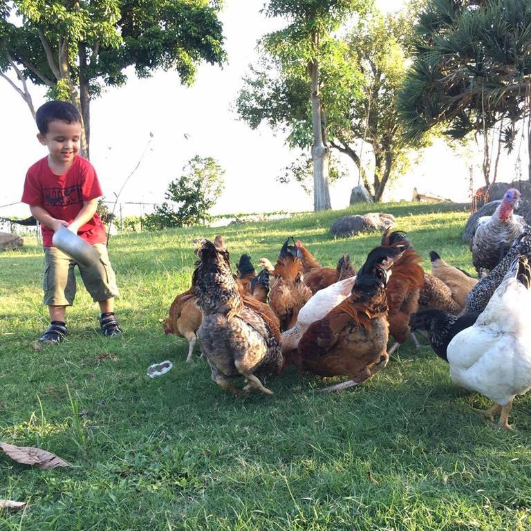 Cai Yeye B&B Jiaoxi Dış mekan fotoğraf